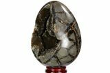 Septarian Dragon Egg Geode - Black Crystals #111230-3